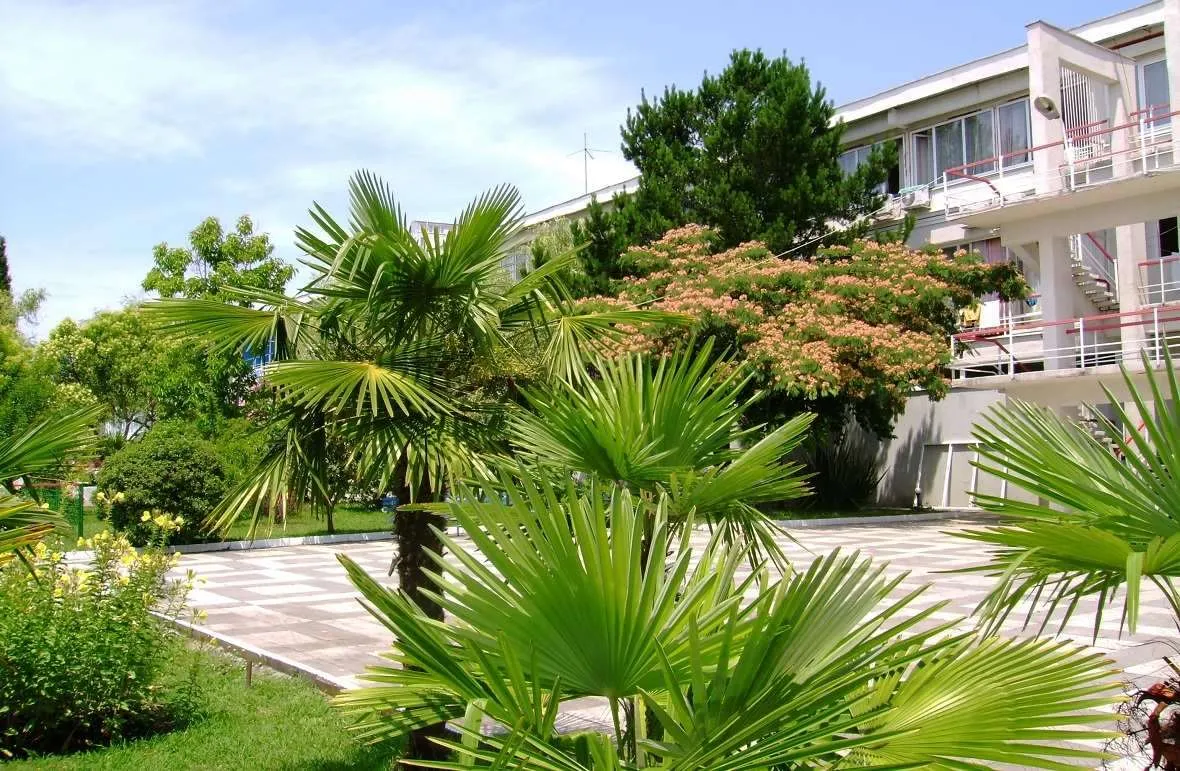 Где купить местные приправы, чайные сборы и сыры